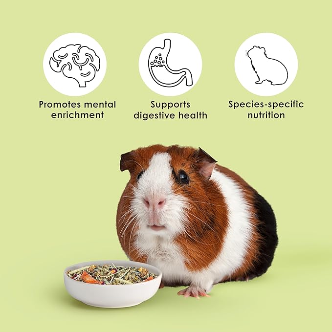 Kaytee Food from The Wild Natural Pet Guinea Pig Food,4 Pound,(Pack of 2)