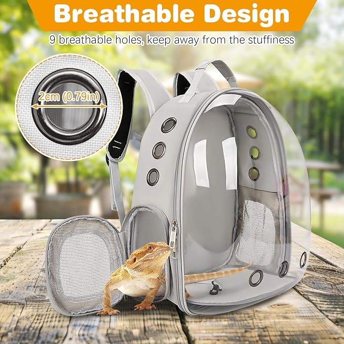 kathson Bearded Dragon Carrier with Harness and Leash Set, Large Reptile Travel Carrier Portable Lizard Backpack Clear Small Animals Carrying Bag for Gecko Hamster Rabbit Hedgehog Kitten (Black)
