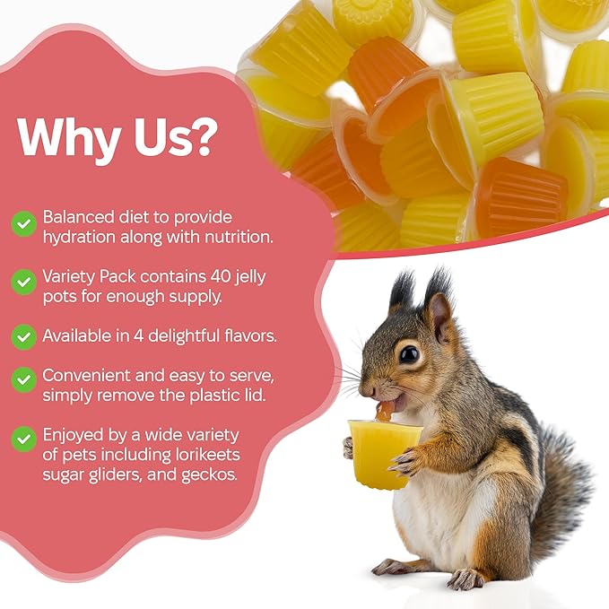 Snout and Shell Pet Jelly Pods Variety Pack - Nutritious Jelly Fruit Nectar Treats for Geckos, Sugar Gliders, Birds, Small Pets - Real Fruit Juice - 40 Cups