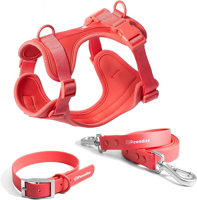 Dog Harness, Collar & Leash Set, Adjustable No Pull Harness with 3 Leash Clips, Waterproof Matching Collar & Leash, Breathable Comfort (Red Watermelon, Medium)