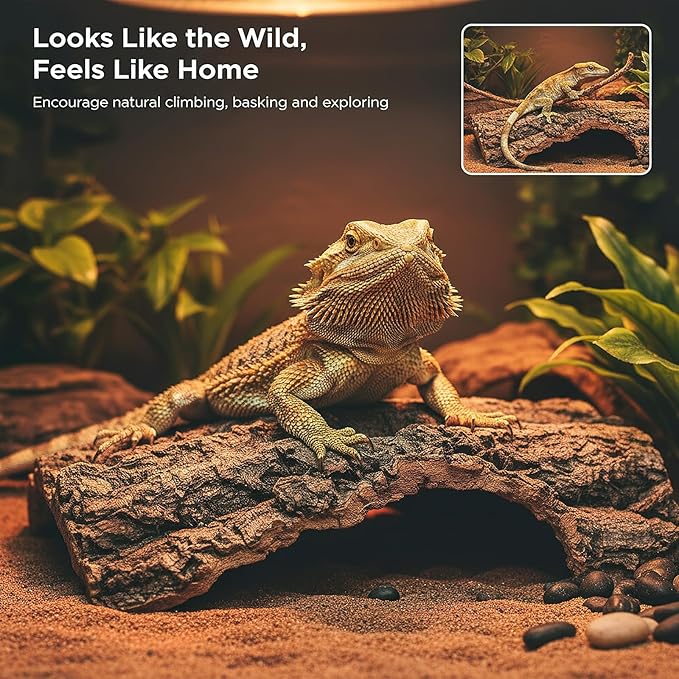 4pcs Reptile Bark Decor Wood,Natural Cork Bark, Bark Cork Hides Water Bark Flats Decor,Reptile Bark Cork Wood Bark Terrarium for Bearded Dragon Lizard Geckos Tortoise Random Shape Random Size Deliver