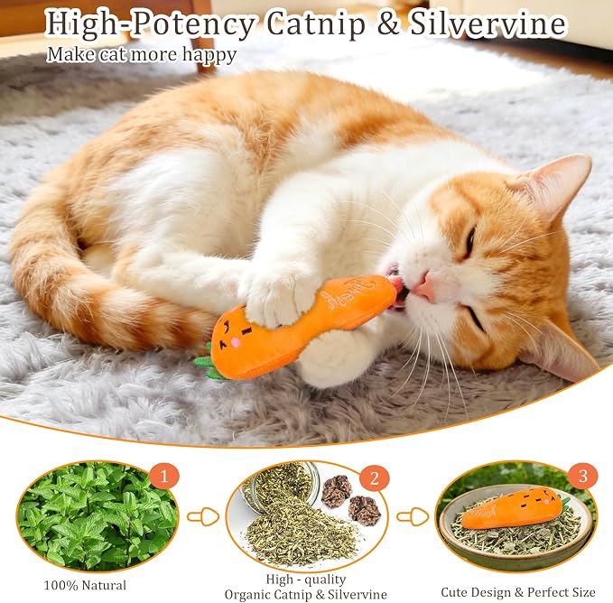 ETEKYER Catnip Cat Toys for Indoor Cats Kitten, 5 Pack, Vegetable Shape - Image 2