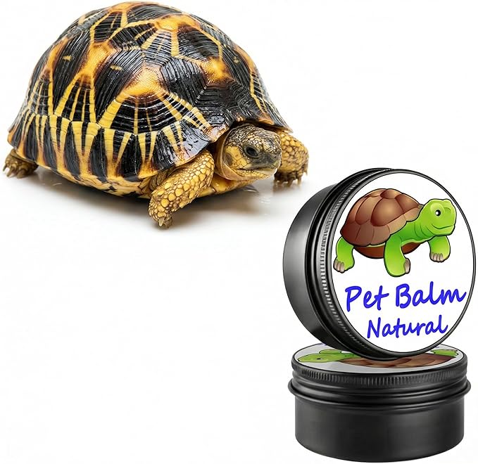 RONDURE Tortoise Shell Conditioner Balm – 2.7 OZ Moisturizer and Protector for Turtle Dry Shell Care – Treatment for Sulcata and Russian Tortoise