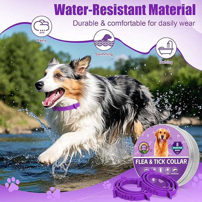 4 Pack Flea Collar for Dogs, 25 inch Adjustable Flea & Tick Prevention Collars with Comb for Small Medium and Large Dog, Waterproof Flea Control Collar Safe for All Breeds, Purple
