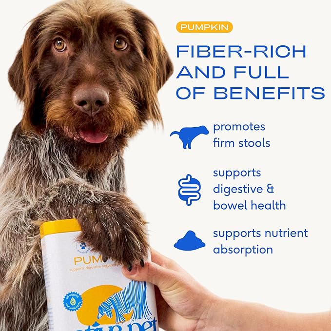 Native Pet Pumpkin for Dogs - Organic Dog Food Topper Powder - Promotes Firm Stools, Supports Digestive, Bowel Health & Nutrient Absorption - USDA Organic, Rich in Fiber with Real Pumpkin - 60 Scoops
