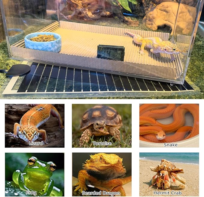 Hamiledyi Reptile Heat Pad Heating Pad Under Tank Hermit Crab Heater Hygrometer Thermometer Heat Mat for Lizard Snake Gecko Turtle Frog Spiders (14W)