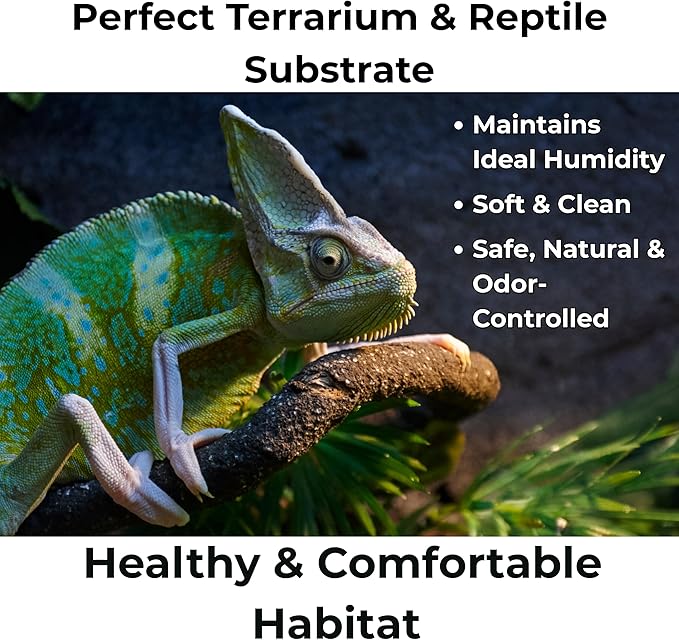 GARDENWISE Peat Moss for Plants – Organic Sphagnum Peat Moss for Orchids, Terrariums, Seed Starting, Reptiles & Potting Soil Mix (1 Quart)