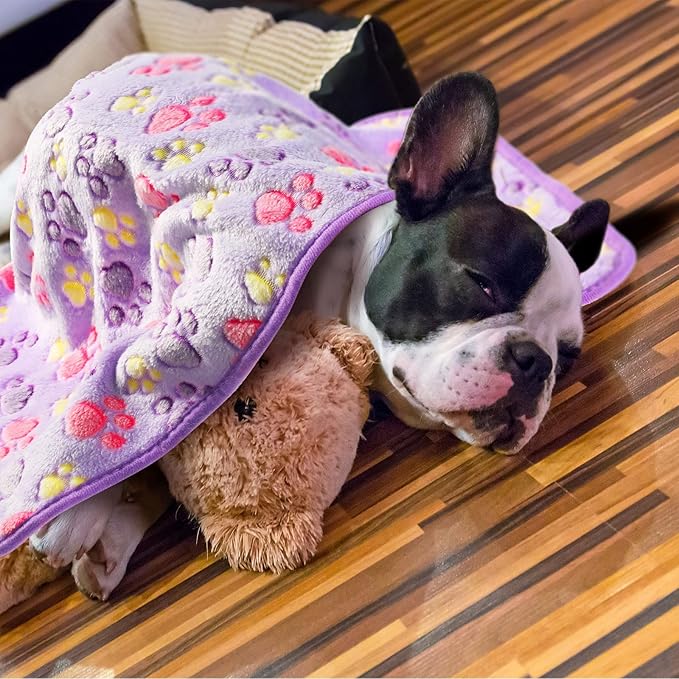 Tatuo 4 Pcs Dog Blanket for Pet Cat Blankets Indoor Puppy Teething Stuff Toys Paw Print Fleece Blanket Warm Sleep Mat for Guinea Pig Cage(Purple,Medium(30 x 20.5 Inch),Square)
