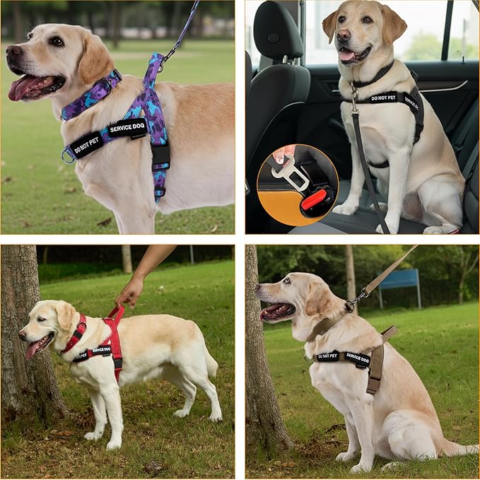 Annchwool No Pull Dog Harness,Heavy Duty Reflective Collar & Leash Set-Leash with Double Handle & Car Seatbelt Clip-Easy Control for Walking Training Medium Large Size Dogs(Red,XL)
