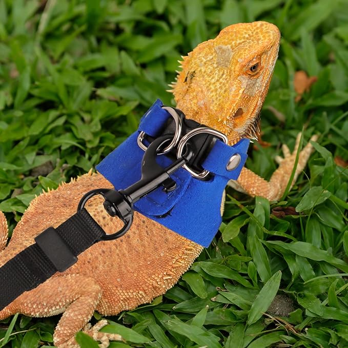 ADOGGYGO Bearded Dragon Harness Leash Set- 3 Size Pack Lizard Harness, Lizard Reptile Walking Leash Harness for Bearded Dragon Lizard Reptiles (Blue)