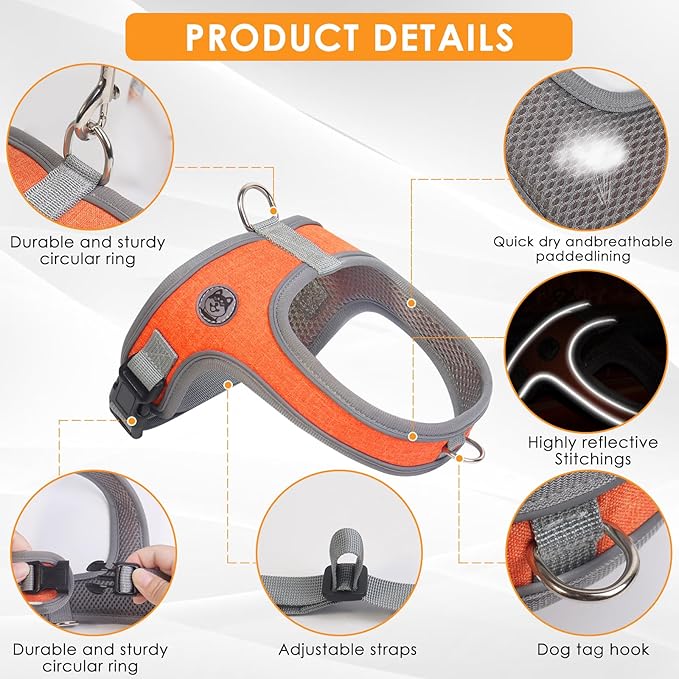 Dog Harness and Leash Set, No Pull Saddle Style Pet Harness, Breathable Mesh Adjustable Reflective Dog Vest for Dogs and Cat Medium Small Harness 2 D-Rings (Orange, S)