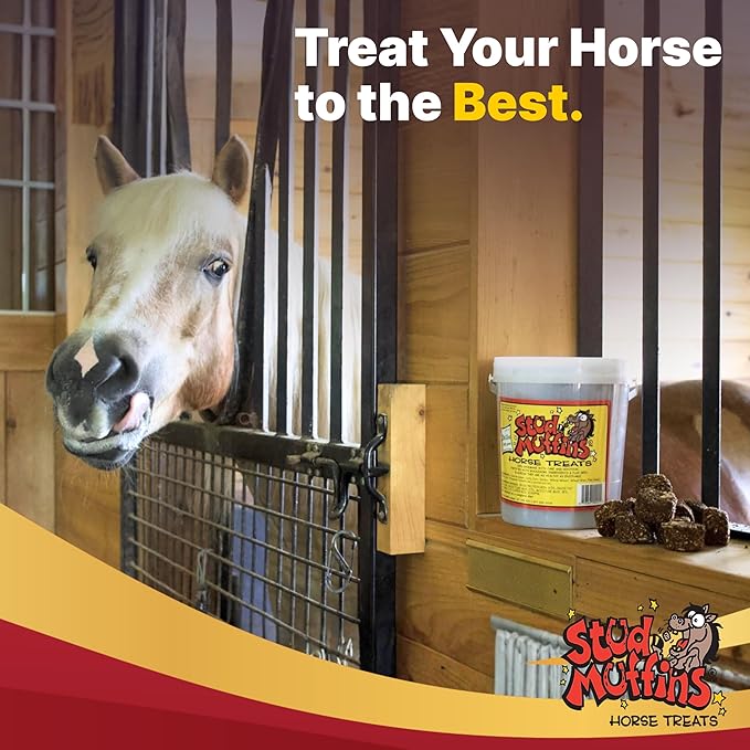 60oz Horse Treats Bucket - 4lb Stud Muffins Horse Treats Bulk Pack