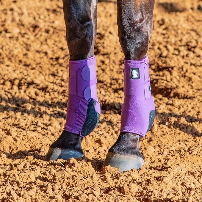 Classic Equine Legacy2 Support Boots, Front (Violet Purple, Large)