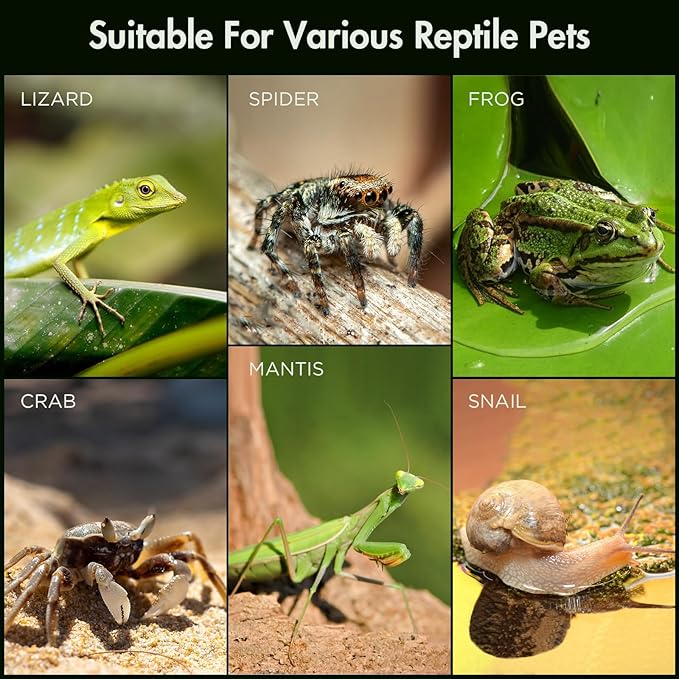 Acrylic Reptile Terrarium, Pre-Assembled Tarantula Enclosure with All-Side Ventilation & Magnetic Door, Tank for Spider, Gecko, Mantis, Frog, Snail, Isopods, 12"x7"x7" (Tweezer & Hygrometer Included)