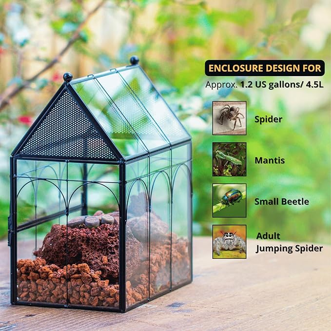NCYP Glass Enclosure with Vent Holes for Jumping Spiders, Praying Mantis, Small Insect - 7.5" x 4.9" x 9" Front Opening Door Vented Glass Terrarium - House Shape, Home Decor, Black (Terrarium Only)