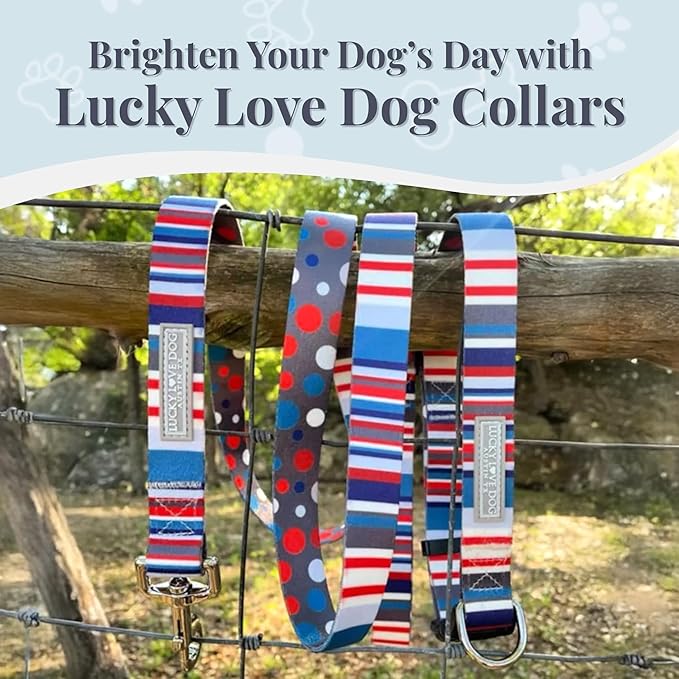 Lucky Love Dog - Adjustable Dog Collar with Easy Click Buckle for Medium Dogs, Durable, & Comfortable for Male & Female Dogs, Pet Collar for Puppies & Adult Ones - Linus, Medium