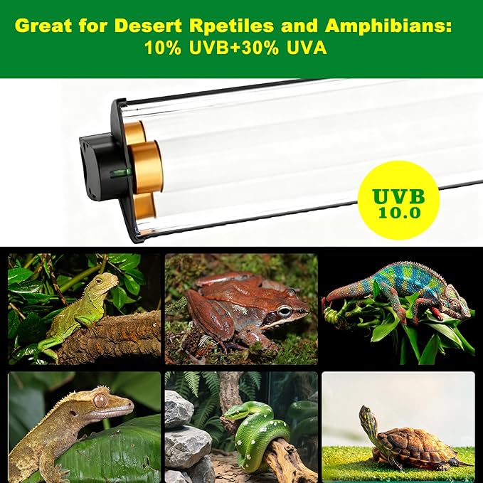 T5 HO UVB Lighting Kit, 15W Terrarium Hood with Detachable Curved Reflector, Desert 10.0 UVB T5 Lamp (15 Watts)