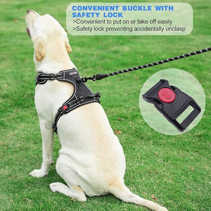 tobeDRI No Pull Dog Harness Adjustable Reflective Oxford Easy Control Medium Large Dog Harness with A Free Heavy Duty 5ft Dog Leash (S (Neck: 13"-18", Chest: 17.5"-22"), Pink Harness+Leash)