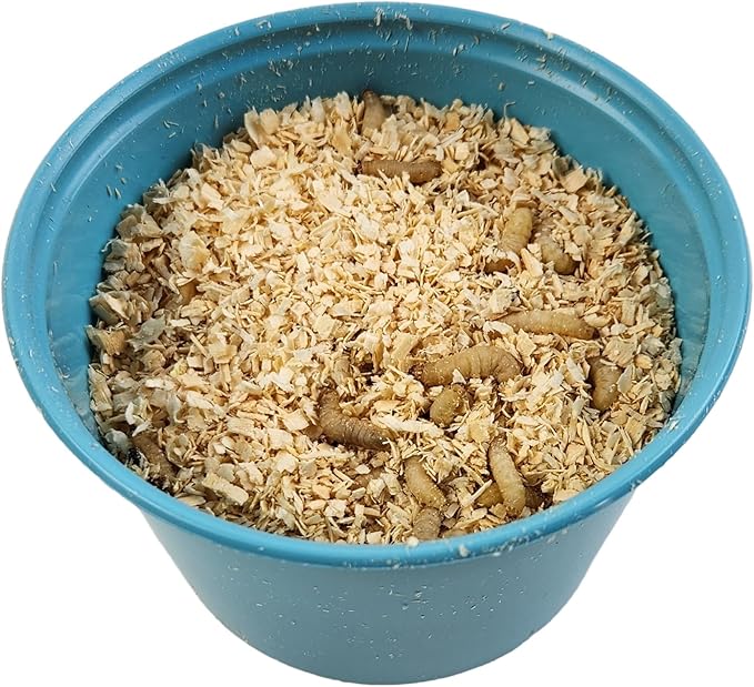 Josh's Frogs Waxworms (250 Count) for Reptiles & Amphibians
