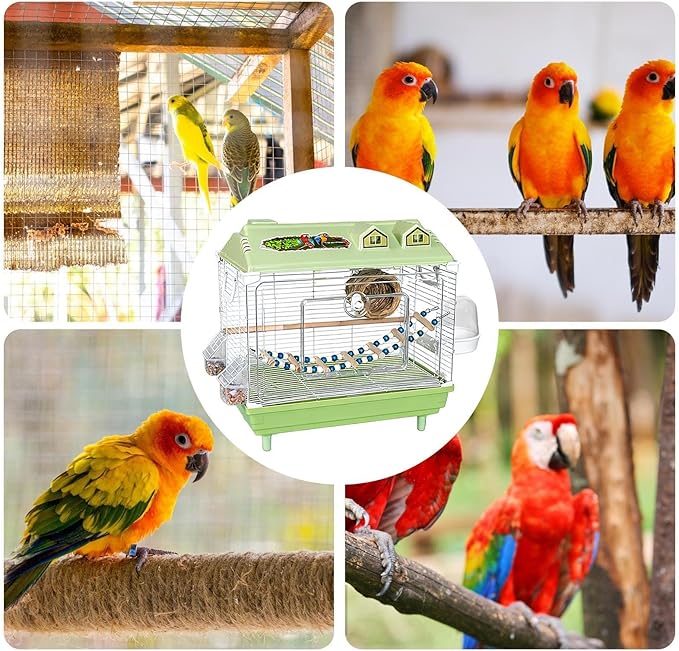 Parakeet Bird Cage, Clear Portable Cockatiel Carrier, Medium Bird with Wooden Perch, Acrylic Lightweight with Removable Tray, Pet with Travel Handle, Indoor Cage for Conures Macaws