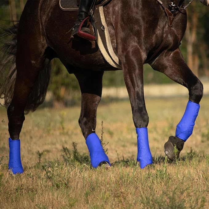 Harrison Howard Horse Sport Medicine Front Shock-Absorbing Boots All-Round Lower Limb Protection & Support Sport Boots Athletic Boots Perfect for Endurance Training and Performance Aquamarine L