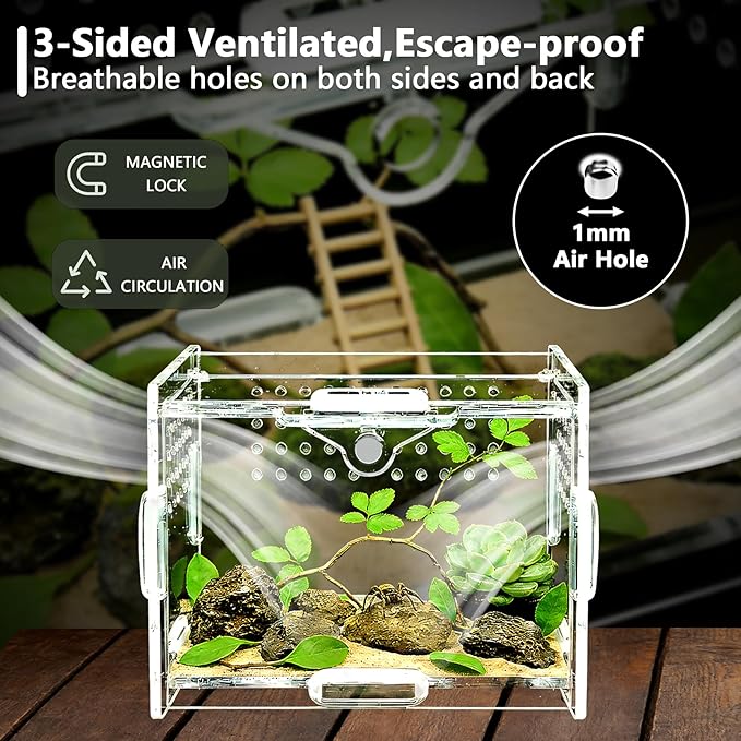 Acrylic Jumping Spider Enclosure - Multi-Purpose Reptile & Insect Habitat Cage with Ventilation for Jumping Spiders,Arboreal Tarantula, Scorpion, Lizard, Snake, Gecko, Snail & Isopod(3.9x3.1x2.7'')