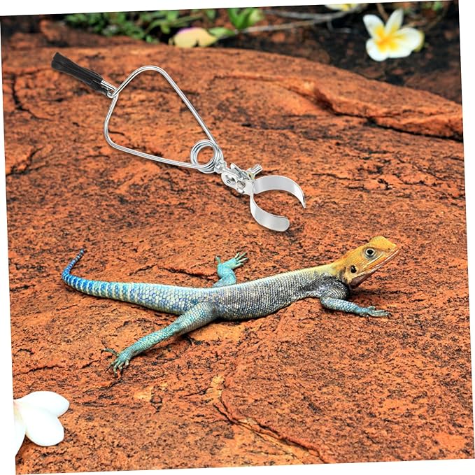 Toddmomy 8pcs Adjustable Clamp Lamp Stand Fixture for Reptile Heat Lamps Lightweight Portable Holder for Turtles Lizards Easy Installation Materials
