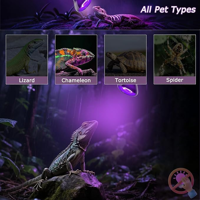 Reptile Moonlight Bulb 60W