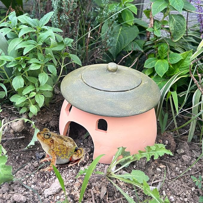 Terracotta Reptile Cave with Green Lid - 8 * 6 Inches Hiding Place for Toad, Frog, Turtle, Lizard