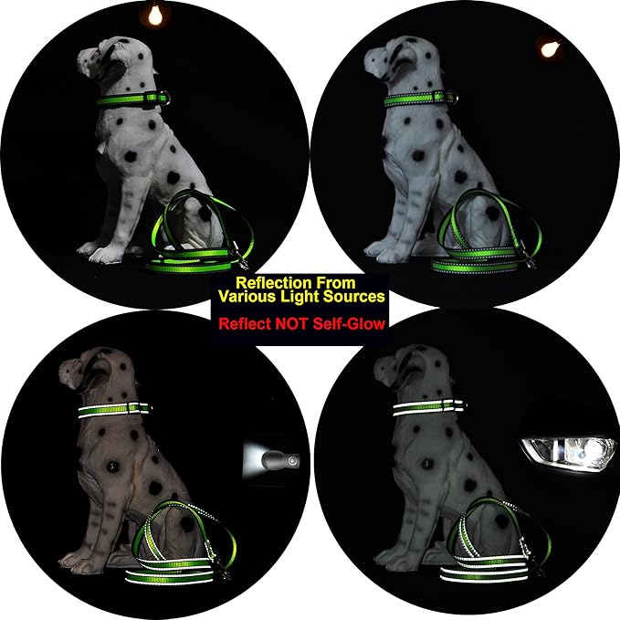Mile High Life Night Reflective Double Adjustable Band Nylon Small Puppy Pet Dog Combo Collar Leash and Harness Set (Reflective Edge Lime Green, Large (Pack of 3))