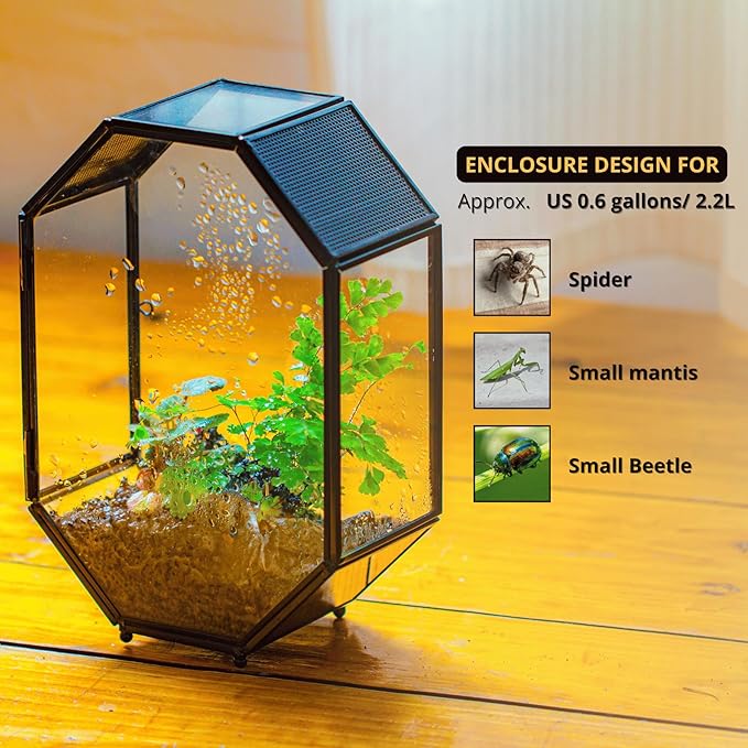 NCYP Glass Enclosure Terrarium with Mesh and Door for Spiders, Small Mantis, Jumping Spider - Octagon Shape Vented Glass Terrarium 6.2 x 3.1 x 8.7 inches, Black (Plants Not Include)