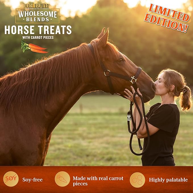 Wholesome Blends Soy-Free Carrot Cake Flavored Horse Treats, 1.5 lb Bag