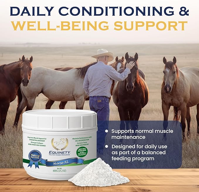 100-Day Supply Horse XL Supplement – Amino Acids for Cellular Repair, Coat Defense, Weight Gain, Joint & Hoof Support – No Soy/Sugar – Equine Supplements for Muscle, Immune Support & Overall Health