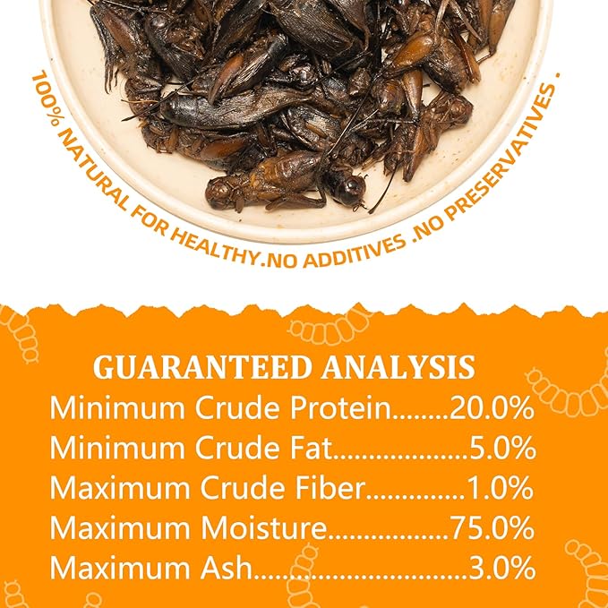 6 Pack Canned Crickets for Reptiles, Fish, Birds and Small Animals, Crickets, Healthy High Protein Treat, Reptile Bird Fish Food 7.2 Ounces Total