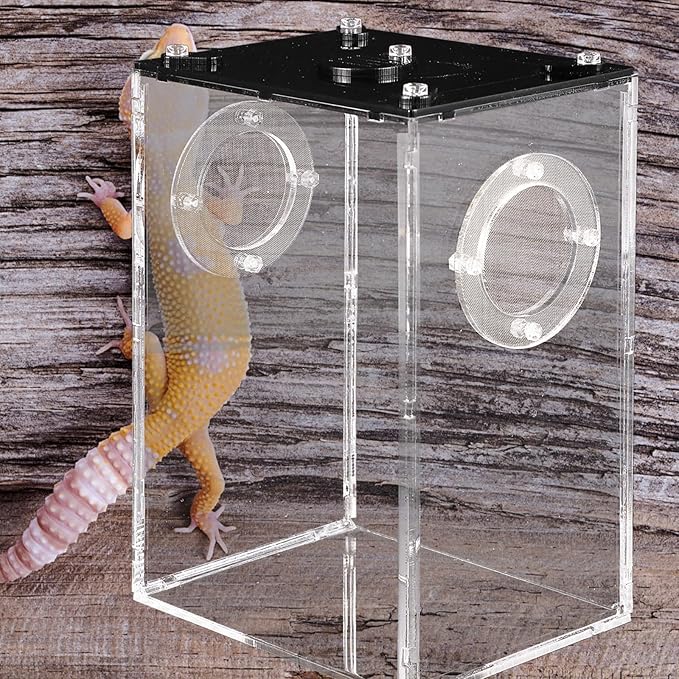 Mipcase Box Box Reptile Feeding Lizard Terrarium Reptile Tank Enclosure Jumping Spider Habitat Container Carrier Breeding Tanks Transparent Feeding Accessories Snake Cage
