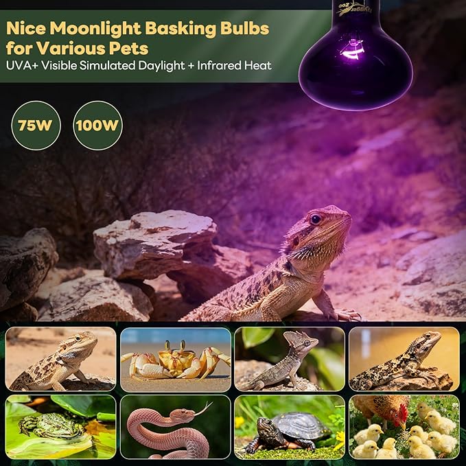 Reptile Heat Lamp, 2 Pack 100W Heat Lamp Bulbs Reptile Night Heat Bulb Basking Light for Bearded Dragon Chameleon Turtle Snake Gecko Lizard Chicken Tank Accessories, Purple