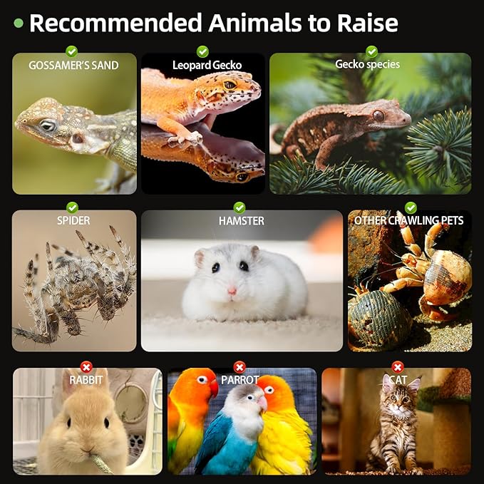 Jumping Spider Enclosure, 4.3''x4.7''x7.8'' Large Insect Terrarium, Praying Mantis Habitat, Large Insect Terrarium,Reptile Enclosure,Spider Habitat Caterpillar Habitat (4.3''x4.7''x7.8'')