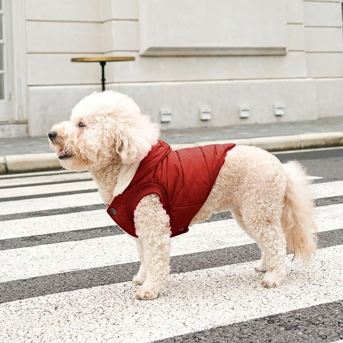 Vecomfy Fleece Lining Extra Warm Dog Hoodie in Winter,Small Dog Jacket Puppy Coats with Hooded,Red XS