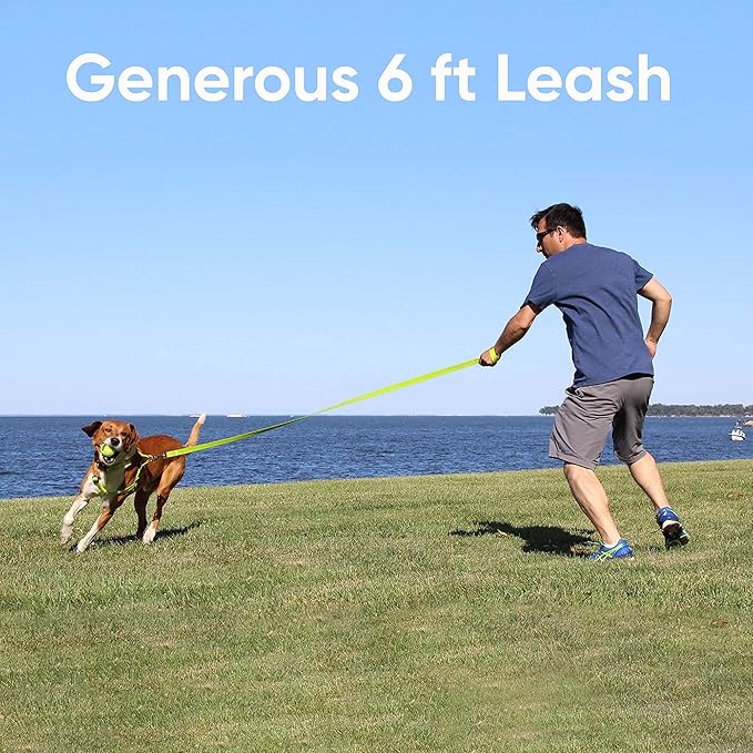 Pawtitas Value Bundle Set | Medium Step in Dog Harness + Medium Dog Collar + Medium/Large 6ft Dog Leash - Lush Green Set