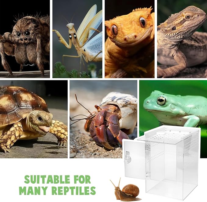Tall Arboreal Tarantula Enclosure【𝐍𝐨 𝐀𝐬𝐬𝐞𝐦𝐛𝐥𝐲 𝐑𝐞𝐪𝐮𝐢𝐫𝐞𝐝】, Jumping Spider Enclosure, Front Above Opening, Cross Ventilation, Acrylic Arboreal Reptile Enclosure,Praying Mantis Enclosure
