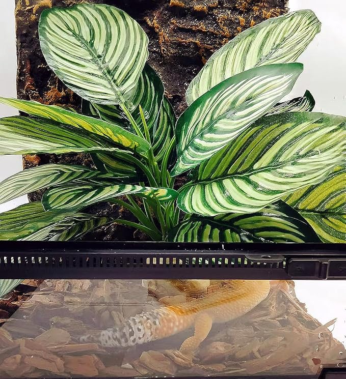 Reptile Terrarium Decor,Amphibian Habitat Decor,Artificial Plants for Crested Gecko Tank Accessories Suitable for Leopard Gecko Bearded Dragon Lizard Chameleon Snake Tortoise (Calathea makoyana-D)