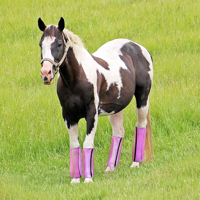 Mesh Fly Boots for Horse Breathable shoofly Leggings for Horses Set of 4 (L, Purple)