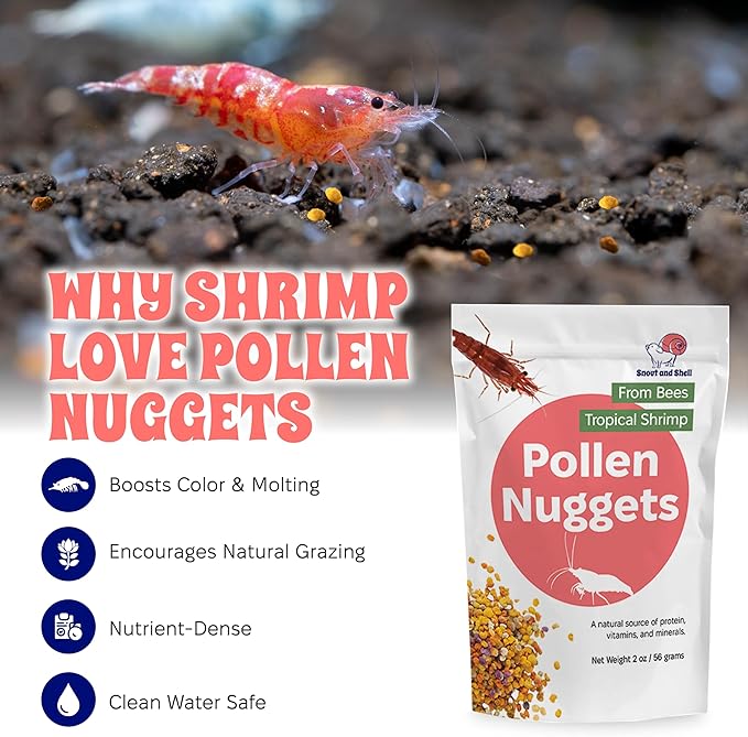 Snout and Shell Bee Pollen Nuggets for Shrimp Tanks – 100% Natural Shrimp Superfood Supplement – Boosts Color, Molting & Breeding – Slow Sinking, Low-Waste Nano Tank Food – 2 oz