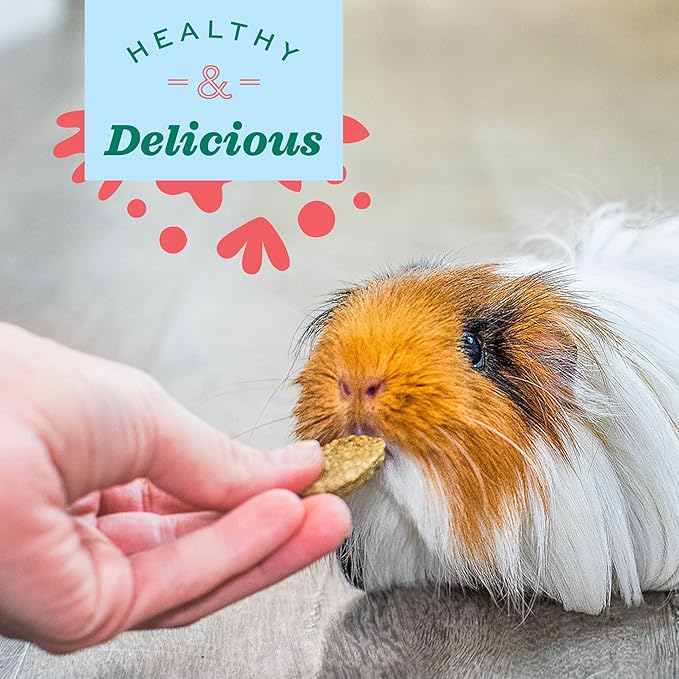 Oxbow Animal Health Natural Science Vitamin C Supplement,Vitamin C for Guinea Pig,Made with Oxbow Timothy Hay,Pet Supplements for Guinea Pigs,Veterinarian Formula,Made in USA,8.4 oz,(Pack of 2)