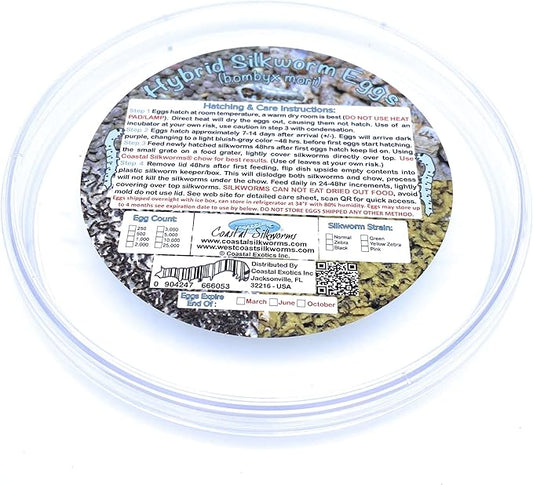 500 Count Live Silkworm Eggs Bombyx Mori (Pack of 1)
