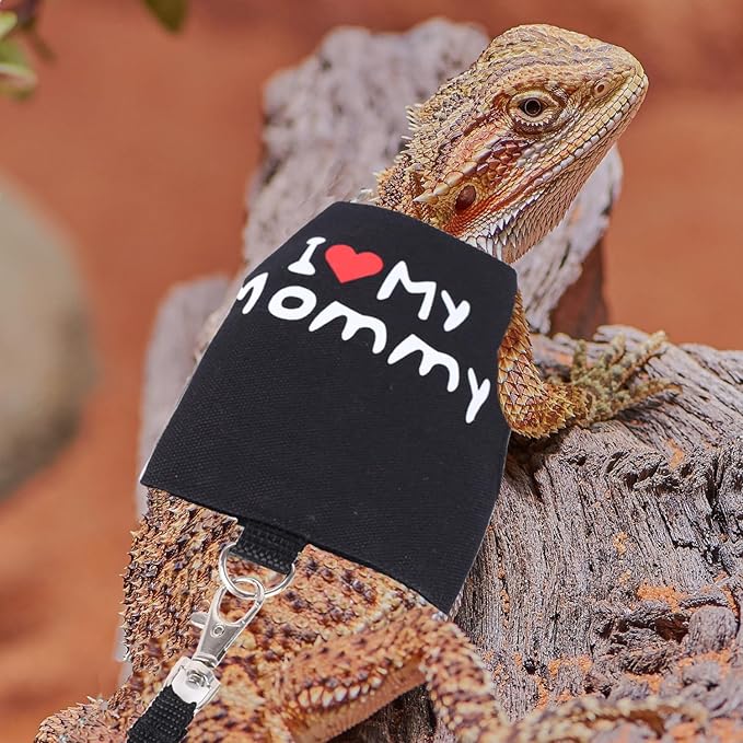 Small Animal Travel Backpack Carrier,Portable Bearded Dragon Bag for Sugar Glider,Hedgehog,Rat,Bunny,Rat,Outdoor Used (Black, Carrier L+ I Leash)