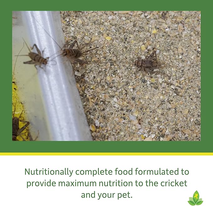 Josh's Frogs Premium Cricket Cuisine Cricket Gutloading Food (24 oz)