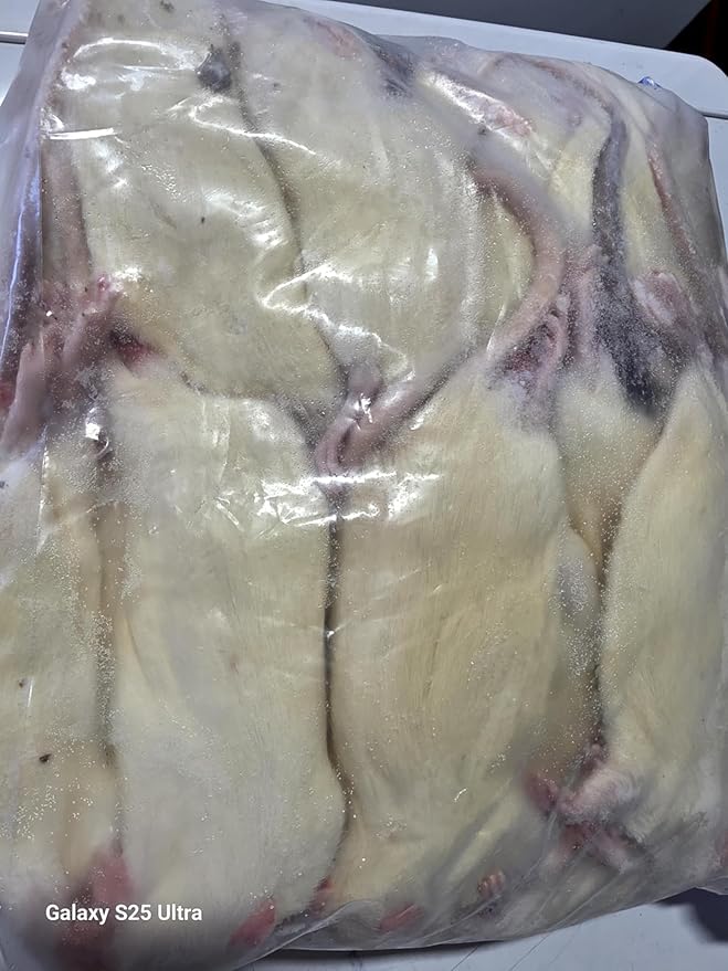 Frozen Medium Rats, 20 Count Bag, 85-160 Grams per Rat