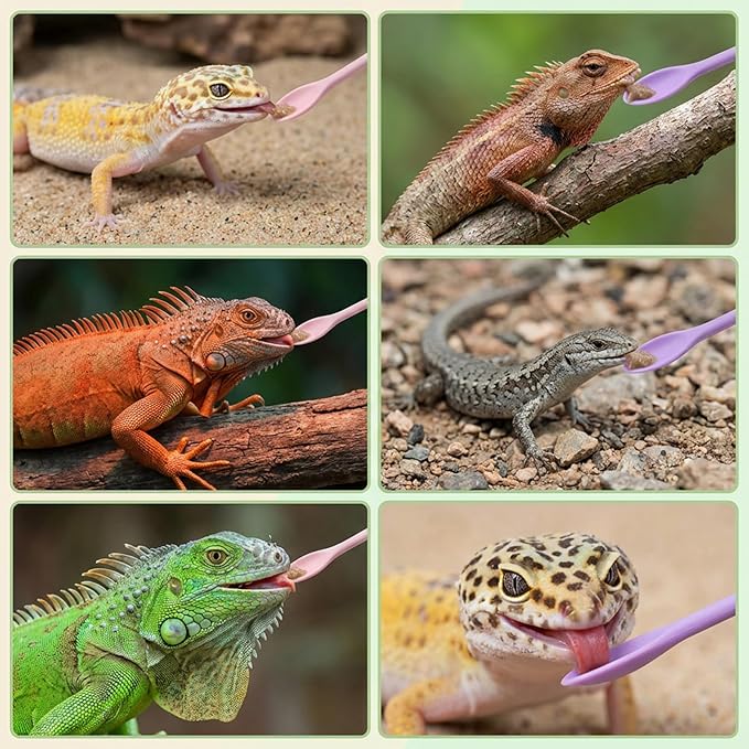 EupHHonycs 2Pcs Crested Gecko Food Mixing Spoon Long Handle Reptile Fruit Mixing Stirring Food Feeding Spoon Feeding Tool Fit Crested Gecko Gargoyle Bearded Dragon