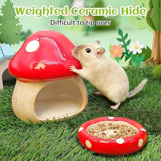 BNOSDM Ceramic Hamster Hideout Cute Mushroom Shape Hamster House and Habitat Cool Hamsters Hide Suitable for Syrian, Mice, Dwarf Hamsters, Gerbils (Red)